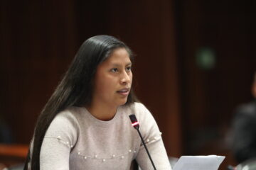 Diputada reyna celeste ascencio ortega (Morena). Foto: Cámara de Diputados