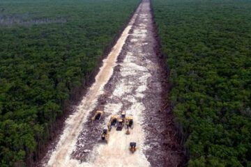 Tren Maya:.Foto: El País